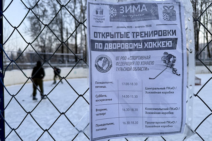 От коньков до горных склонов: где и какими зимними видами спорта можно заняться в Туле
