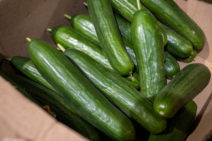 На вес золота: огурцы в Туле уже дороже рыбы и курицы и стоят почти как свинина – почему? На вес золота: огурцы в Туле уже дороже рыбы и курицы и стоят почти как свинина – почему?