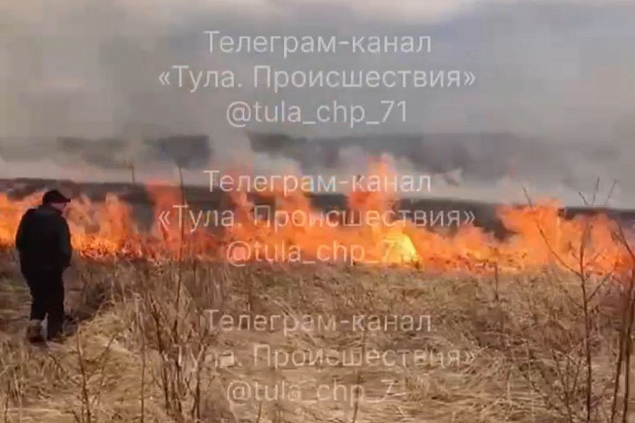В Туле и области за сутки произошло несколько природных пожаров В Туле и области за сутки произошло несколько природных пожаров