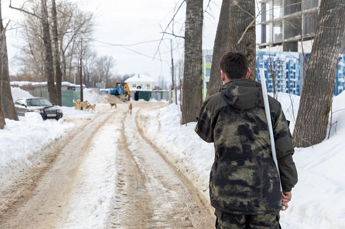 Три судьбы одного пса: сколько стоит жизнь бездомной собаки в Тульской области Три судьбы одного пса: сколько стоит жизнь бездомной собаки в Тульской области