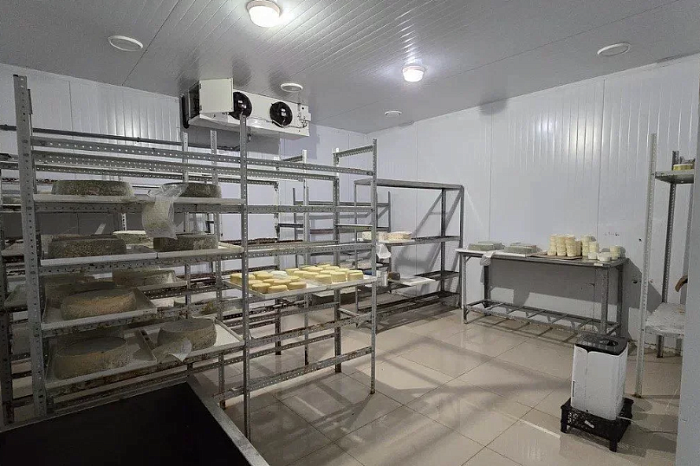 От сыроварни до прудов: какой готовый бизнес продают в Тульской области