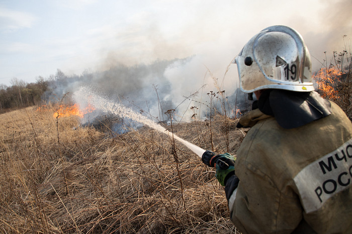 Загорятся ли в Тульской области поля после заморозков и снега — отвечают в МЧС