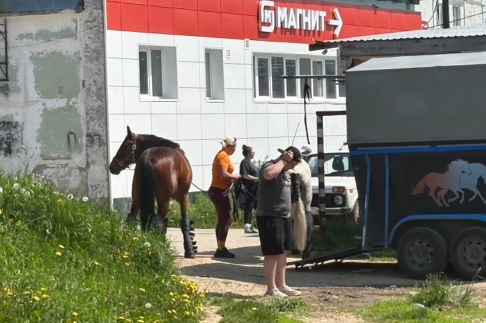 Она прошла около четырех километров: житель Дубны рассказал, как нашли пропавшую трехлетнюю девочку Она прошла около четырех километров: житель Дубны рассказал, как нашли пропавшую трехлетнюю девочку