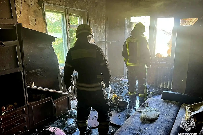 При пожаре в Новомосковске Тульской области погибли два человека При пожаре в Новомосковске Тульской области погибли два человека