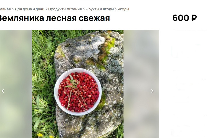 Сейчас сезон: за что туляки готовы платить только летом? Сейчас сезон: за что туляки готовы платить только летом?