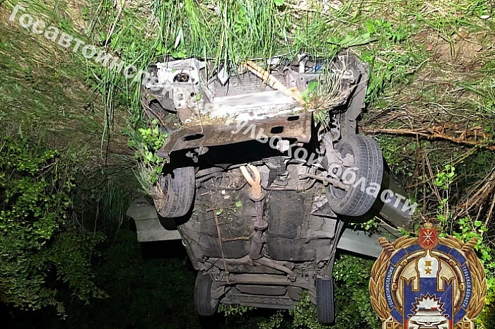 За год в Тульской области произошло 319 аварий с животными, треть – с лосями: в ГАИ назвали самые опасные дороги