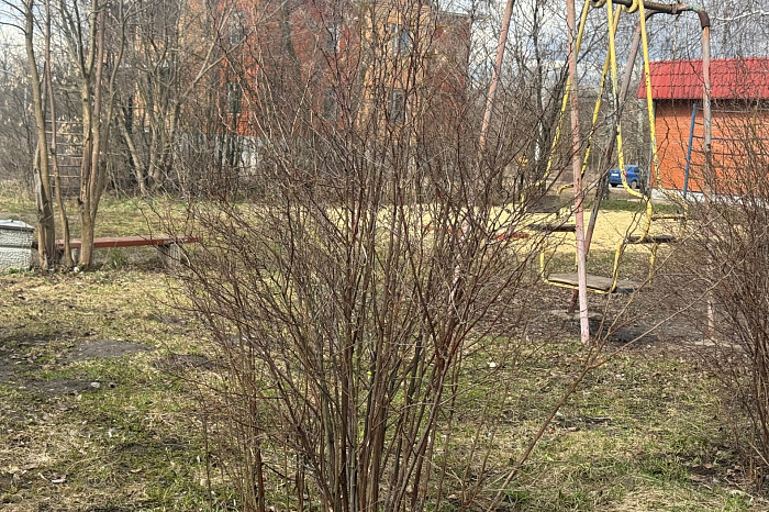 В киреевских Присадах снесли детскую площадку, оставив «декорации» к фильму ужасов