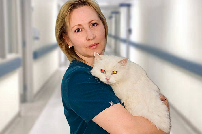 «Откройте пасть, скажите «рррр»: как понять, что у собаки или кошки проблемы с зубами – поговорили с ветеринаром-стоматологом