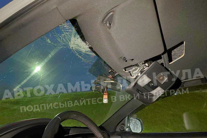 На улице Рязанской в Туле на лобовое стекло автомобиля с моста упал камень
