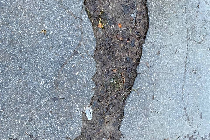 Либо в лужу, либо в грязь: жителям Мясново в Туле не нравится состояние пешеходной дорожки Либо в лужу, либо в грязь: жителям Мясново в Туле не нравится состояние пешеходной дорожки