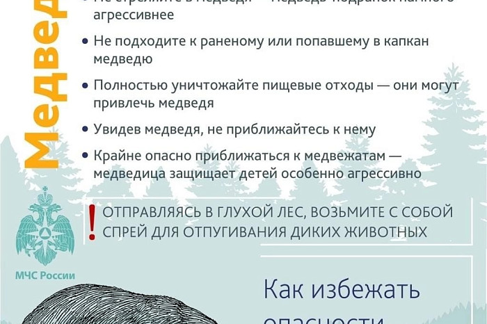 Медведь, волк, кабан: где в Тульской области можно встретить диких животных и что делать в случае опасности