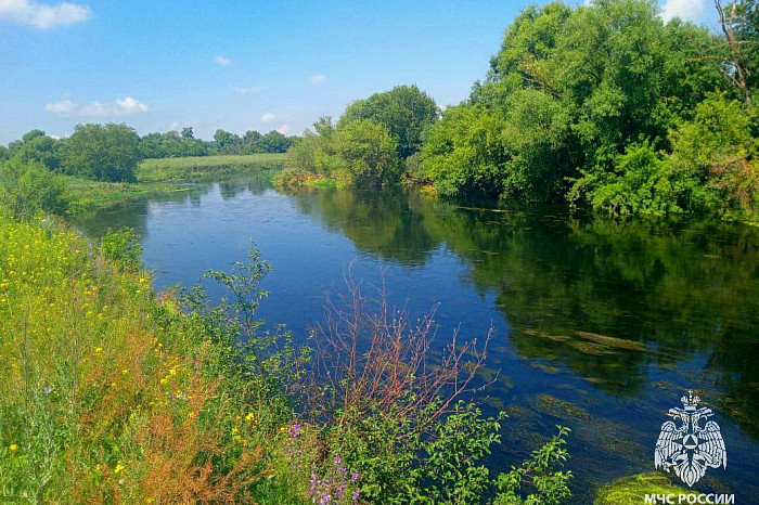 39-летний мужчина утонул в реке Красивая Меча под Ефремовом