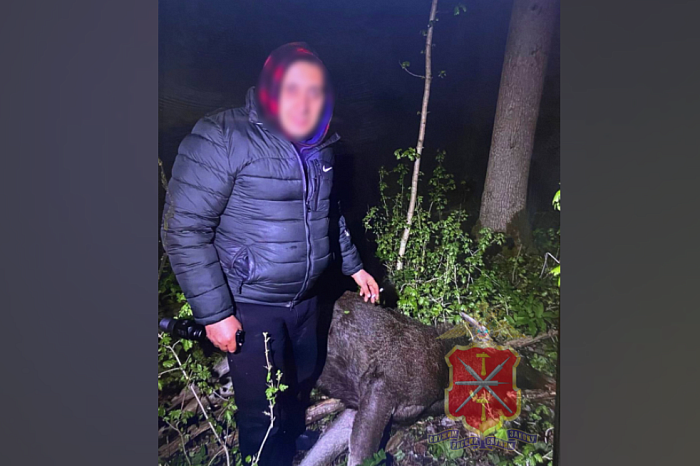 В Тульской области поймали москвича и мигранта, занимавшихся браконьерством: у них нашли целую тушу лося, а также голову и копыта
