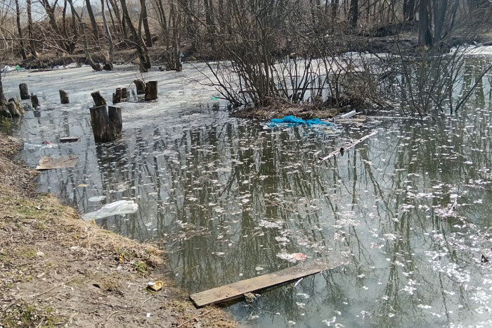 Жители Тулы обратили внимание на ужасное состояние пруда в Мясново, где жили редкие черепахи