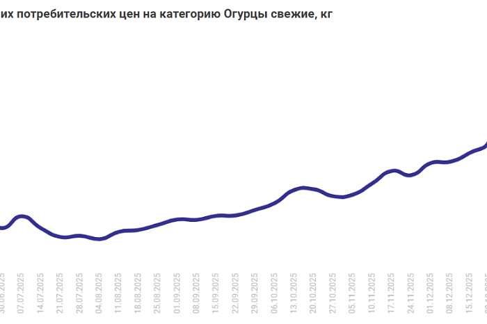 На вес золота: огурцы в Туле уже дороже рыбы и курицы и стоят почти как свинина – почему? На вес золота: огурцы в Туле уже дороже рыбы и курицы и стоят почти как свинина – почему?