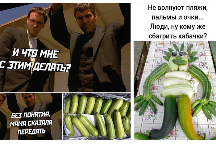 Кабачки, подвиньтесь: Тулу захватили яблоки – как богатый урожай отразился на их стоимости Кабачки, подвиньтесь: Тулу захватили яблоки – как богатый урожай отразился на их стоимости