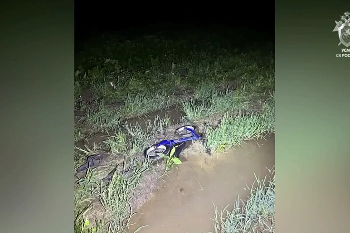 Пропавшую в Дубне трёхлетнюю Веронику Воробьёву ищут с помощью дронов