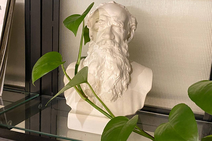 «Молодые люди не считают Толстого бородатым классиком, которому место на антресоли или в кладовке»: как образ Льва Николаевича в городском пространстве трансформирует отношение к нему