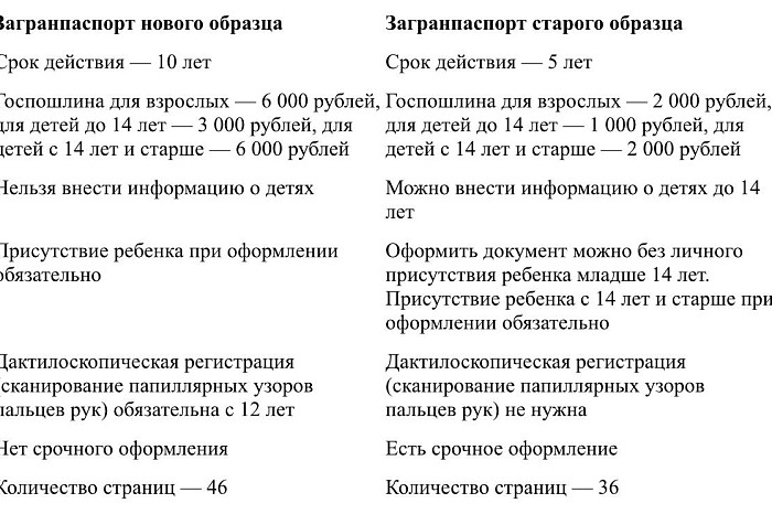 Спрос на загранпаспорта растет в Тульской области: как правильно его оформить и куда можно лететь в 2025 году