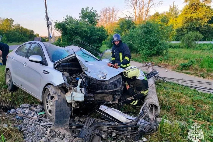 В Тульской области за сутки спасатели потушили пять пожаров