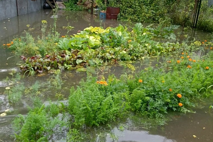 «С каждым годом подтопления принимают все более устрашающий характер»: в Туле частные дома на улице Томпа ушли под воду