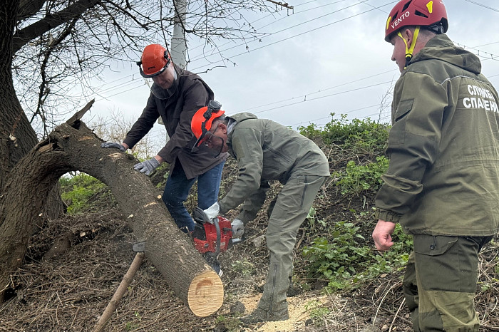 «Общий труд всегда сплачивает людей»: Дмитрий Миляев принял участие во Всероссийском субботнике
