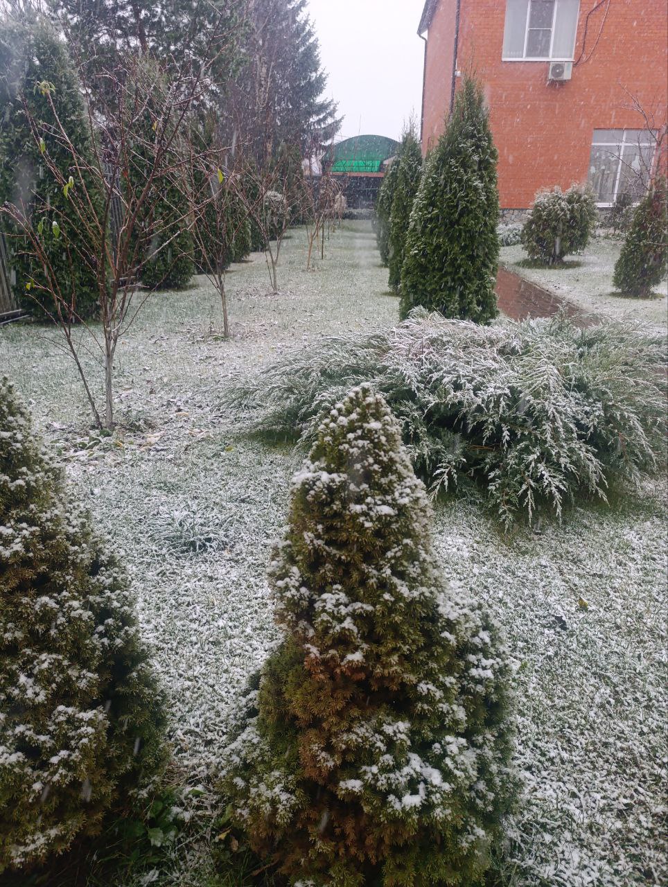 Фото: Тульская служба новостей