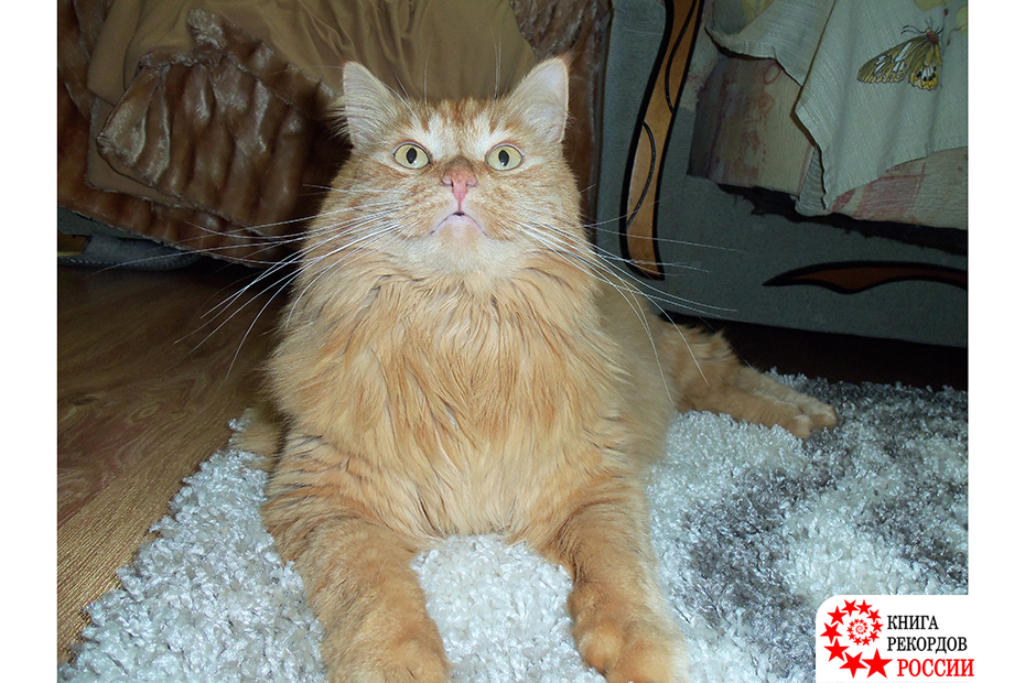 Фото: Книга рекордов России