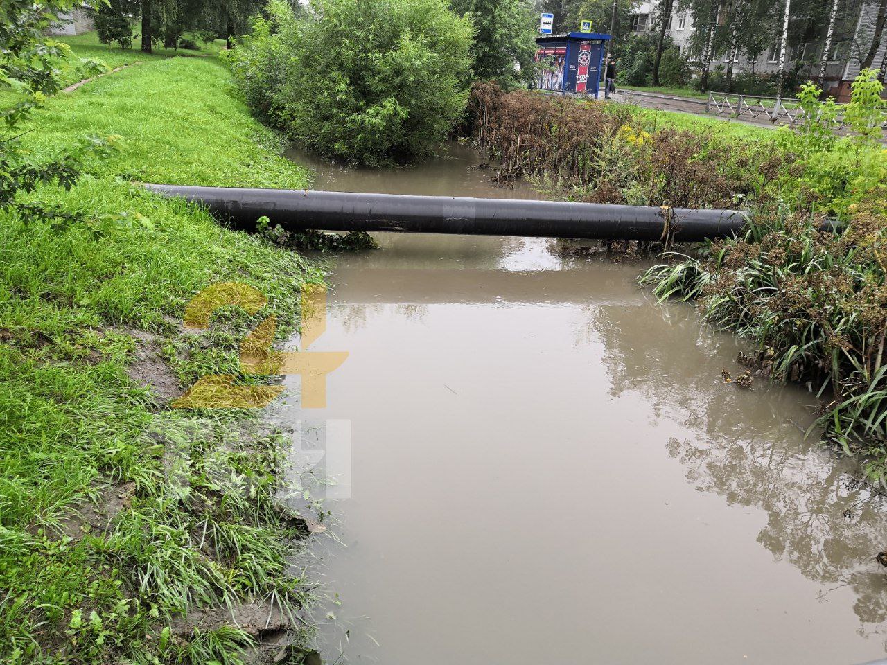 Фото: Тульская служба новостей