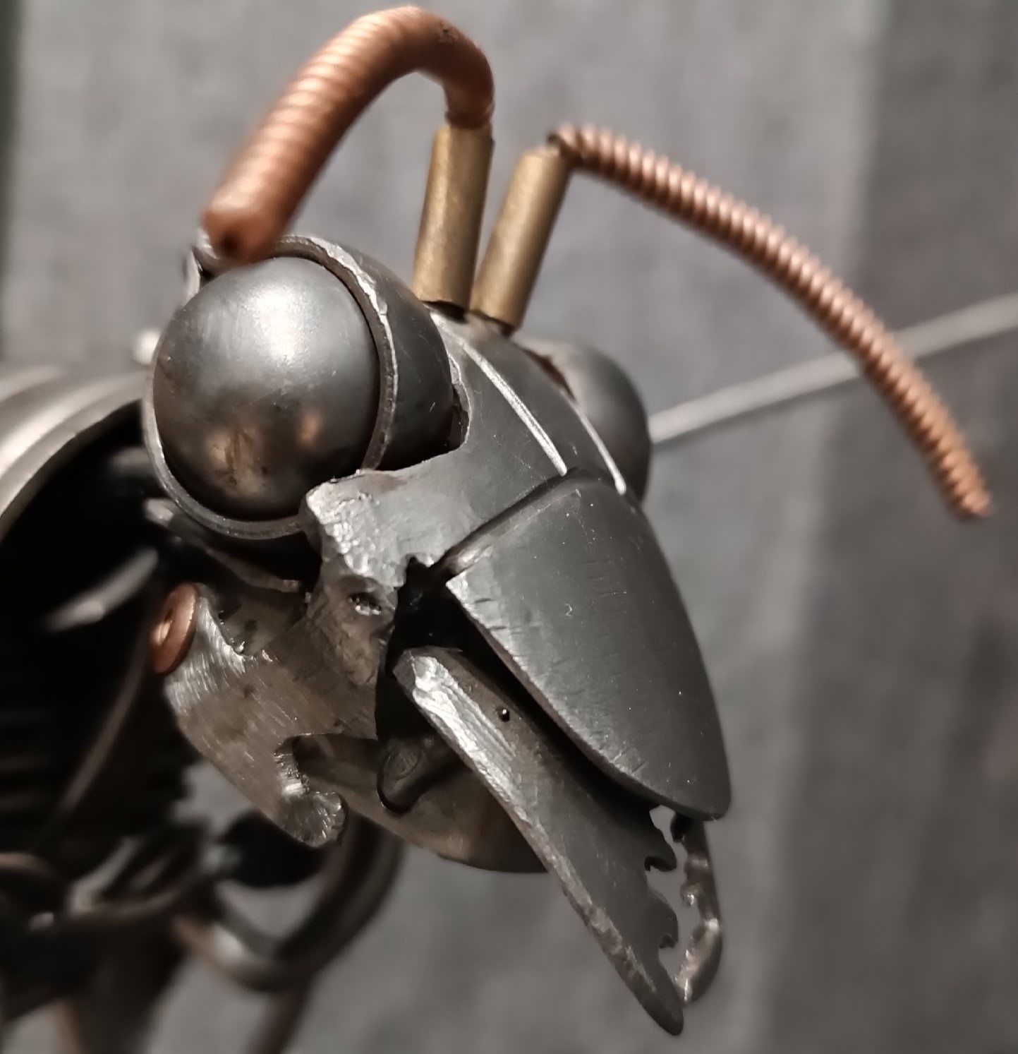 Фото из личного архива Кирилла Климова