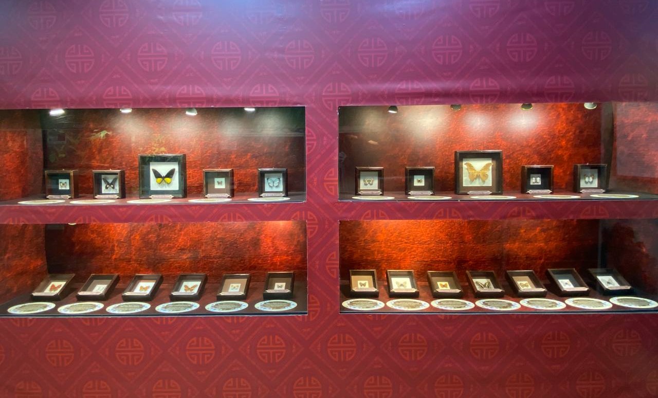 Фото: Тульская служба новостей