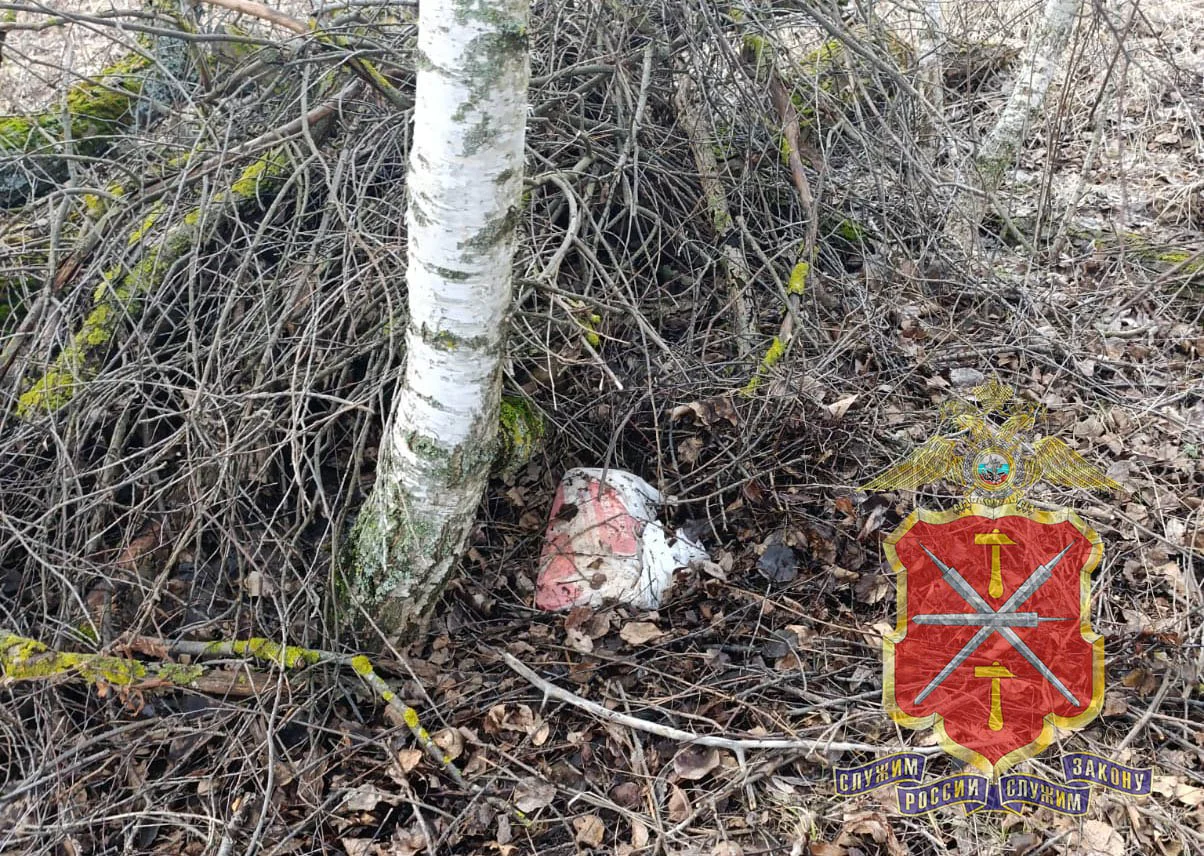 Фото: УМВД России по Тульской области