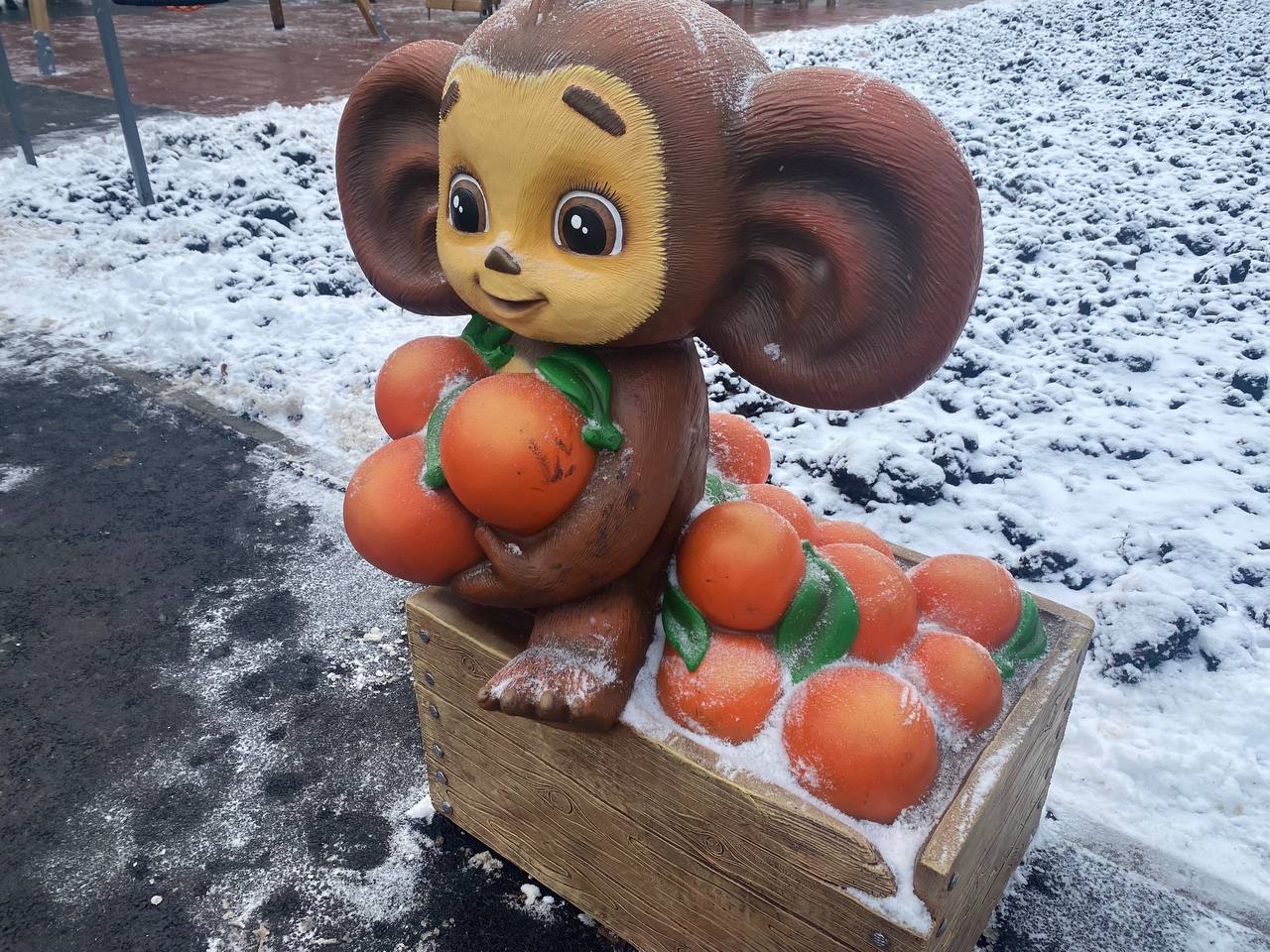 Фото: Тульская служба новостей