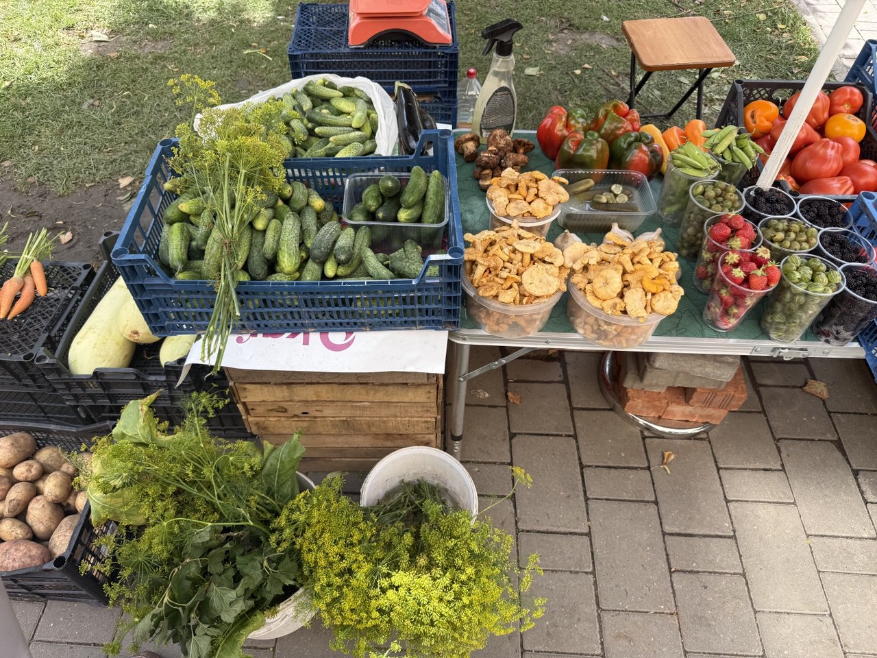 Фото: Тульская служба новостей