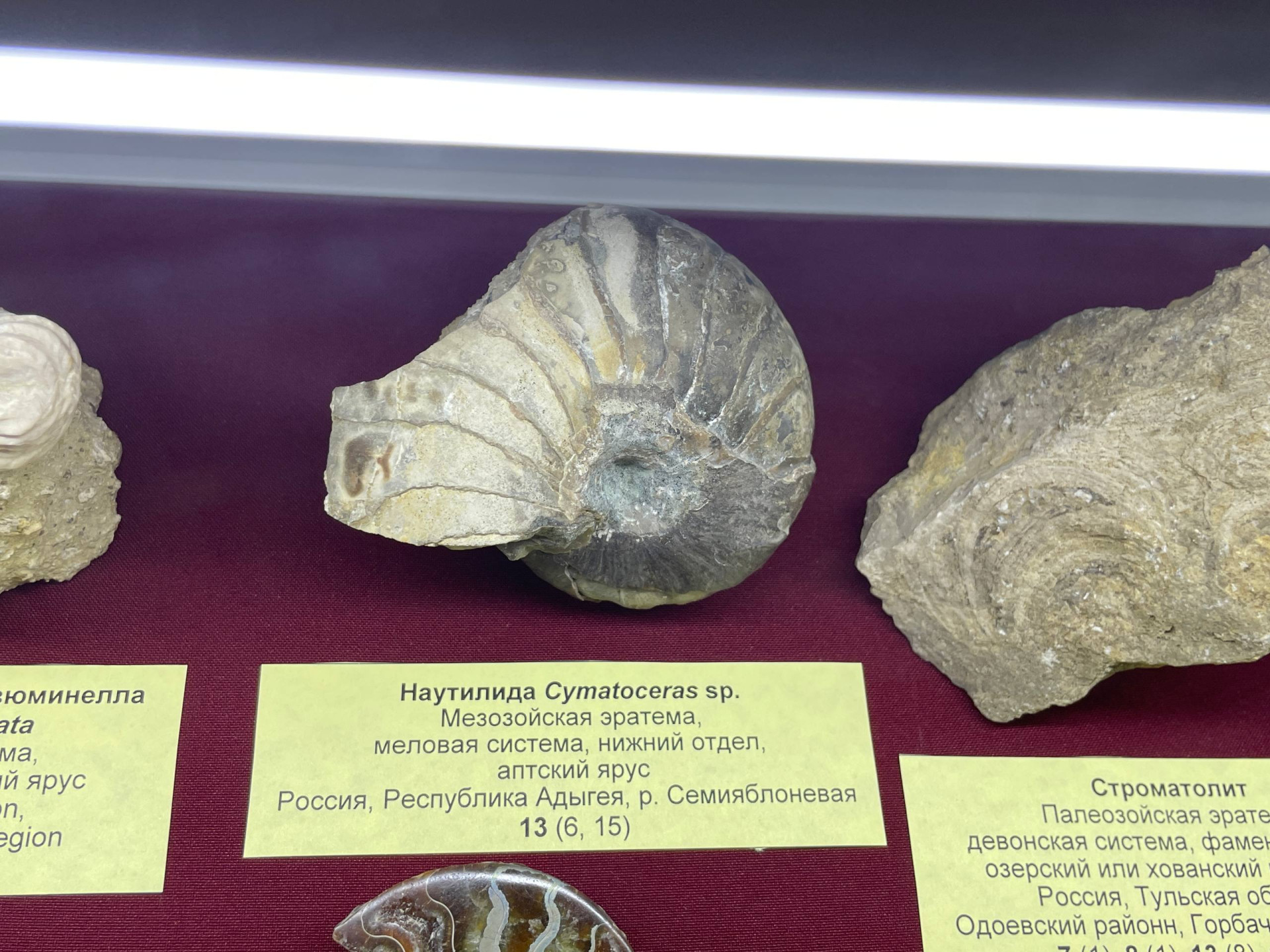 Фото: Тульская служба новостей