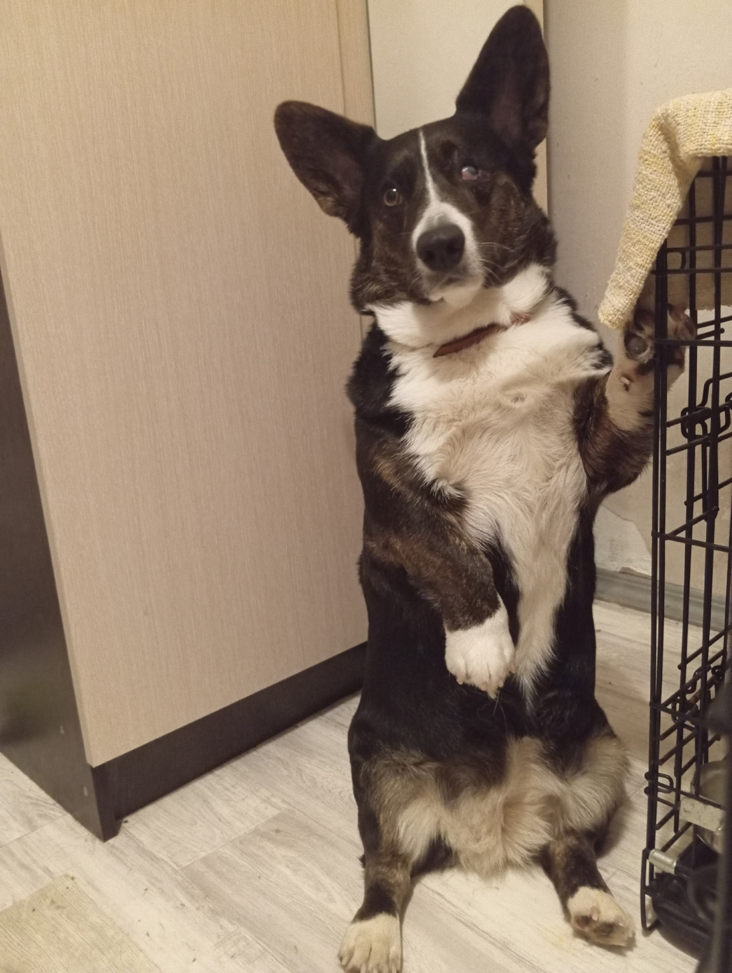 Фото предоставлено Анастасией Калининой.