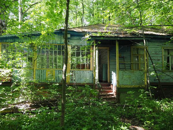 42 заброшки на восьми гектарах: бывший лагерь «Огонек» под Веневом никому не нужен 42 заброшки на восьми гектарах: бывший лагерь «Огонек» под Веневом никому не нужен