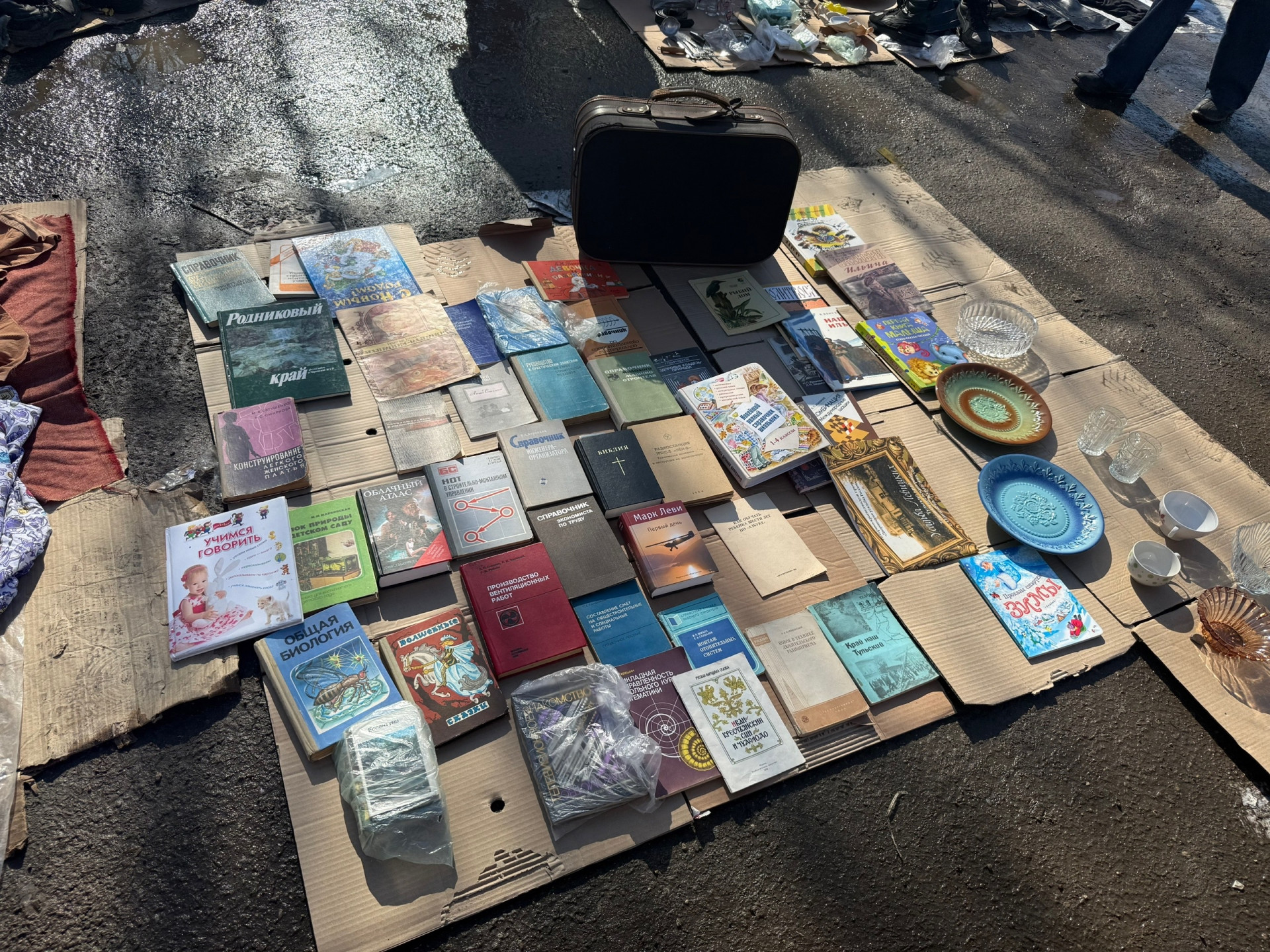 Фото: Тульская служба новостей