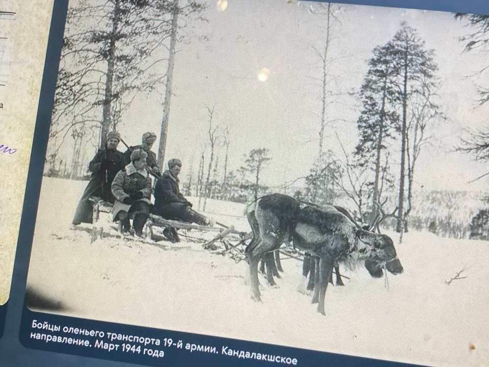 Фото: Тульская служба новостей