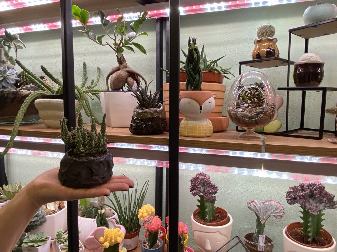 Фото: Тульская служба новостей