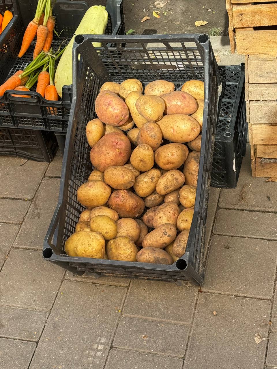 Фото: Тульская служба новостей