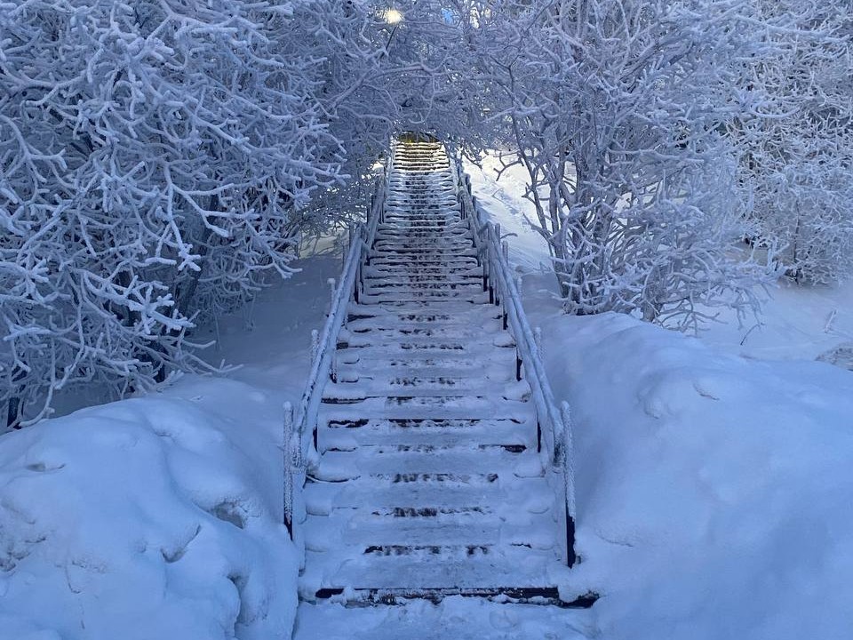Фото: Тульская служба новостей