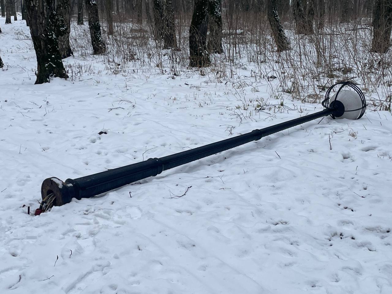 Фото: УМВД России по Тульской области