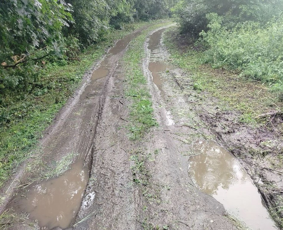 Фото: Евгения Неуступова