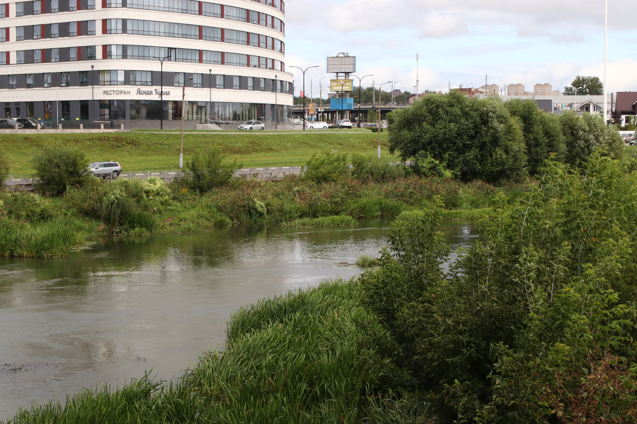 Фото: Тульская служба новостей