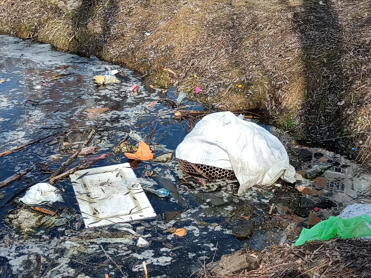 Фото: Тульская служба новостей