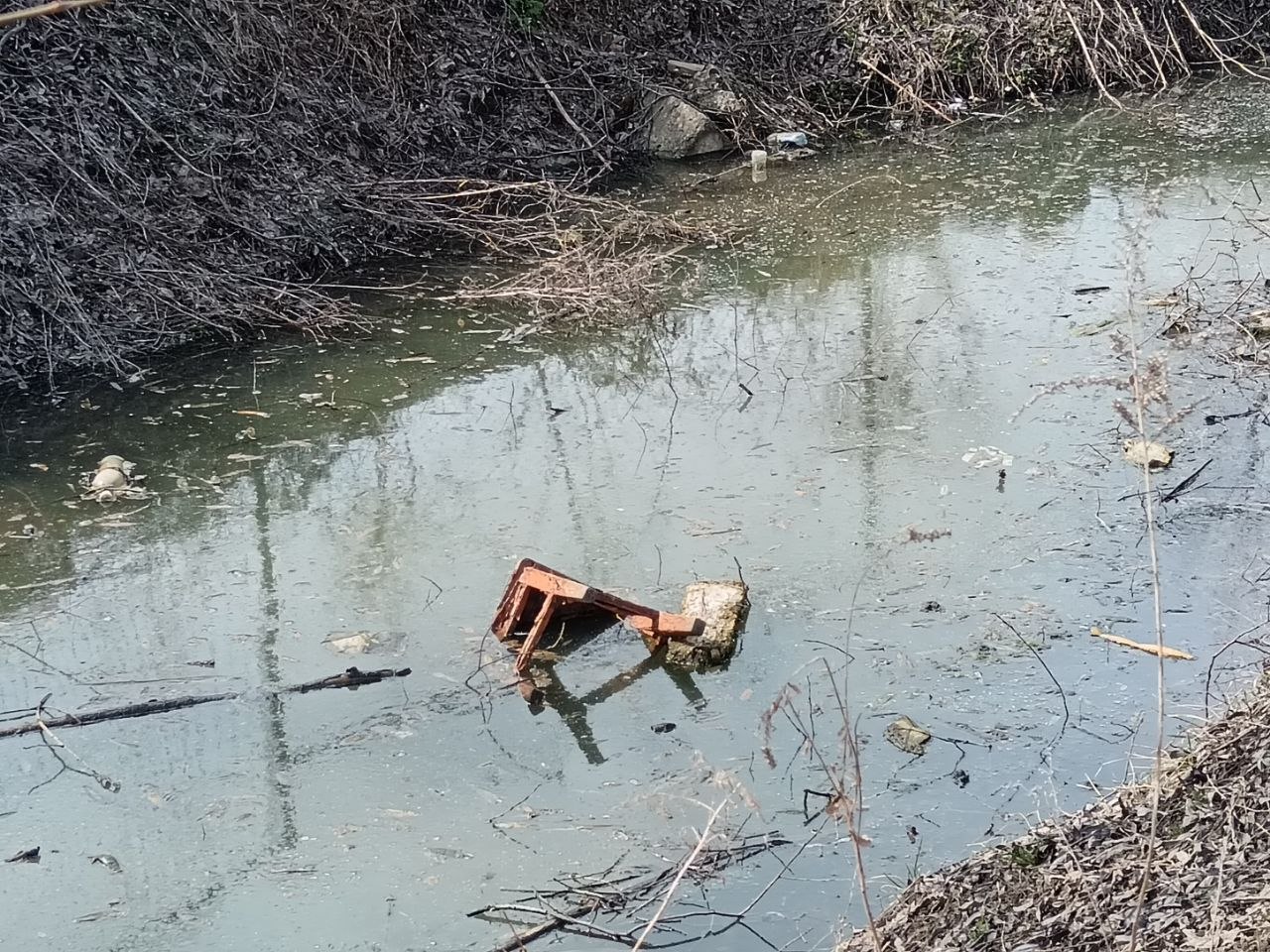 Фото: Тульская служба новостей