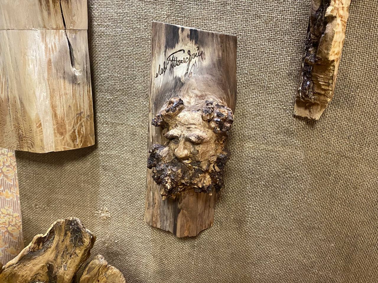 Фото: Тульская служба новостей