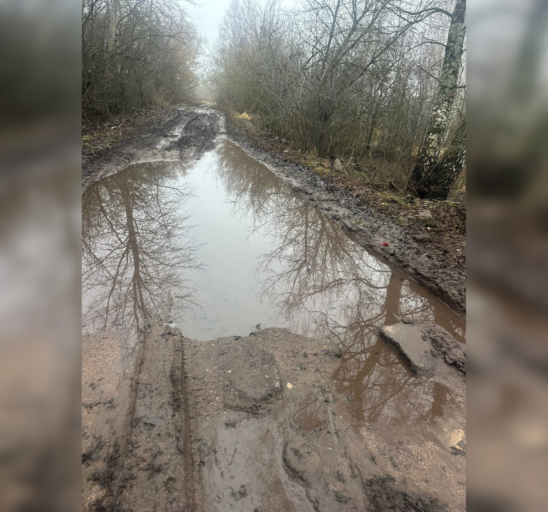 Фото от местного жителя