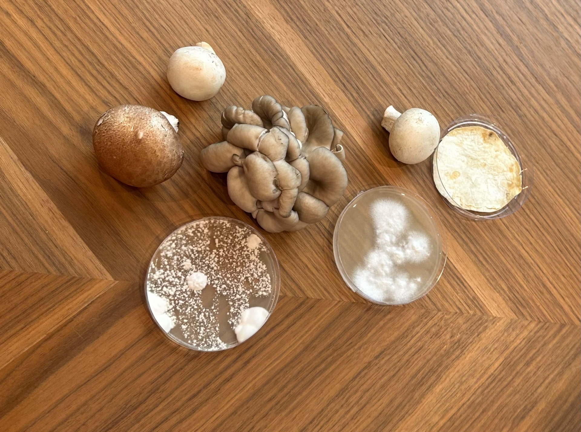 Фото: Ангелина Тышкунова